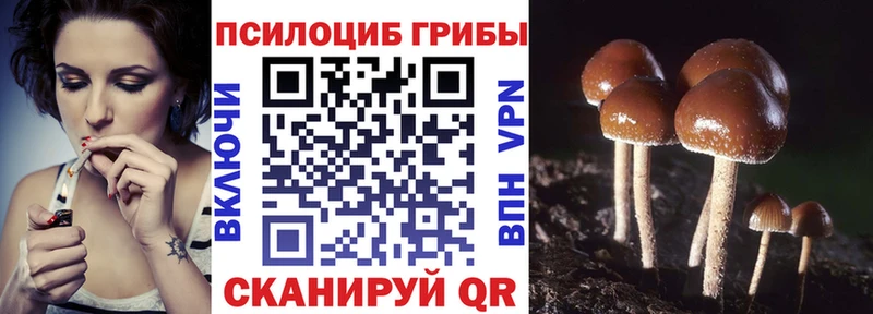 OMG онион  Канск  Псилоцибиновые грибы прущие грибы  магазин  наркотиков 