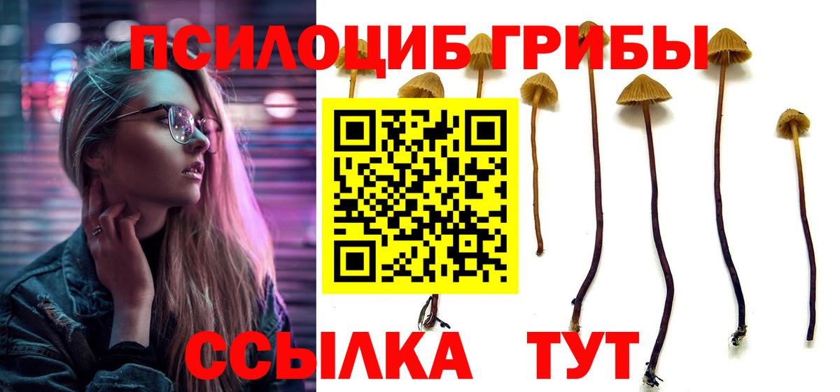 Канск  Псилоцибиновые грибы прущие грибы  Вход с VPN  Галлюциногенные грибы ЛСД 